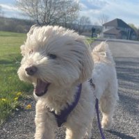 herrin stella (@jstella31208) 's Twitter Profile