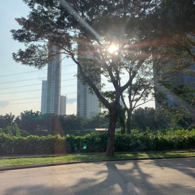 mindofoody's profile picture. traveling at the speed of light, fueled by all kind of noodles