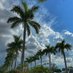 Florida Living (JustOh) 🇺🇸 (@myacatt51) Twitter profile photo Florida Living (JustOh) 🇺🇸 (@myacatt51) Twitter profile photo