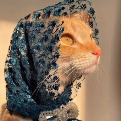 Ssssstevie's profile picture. 