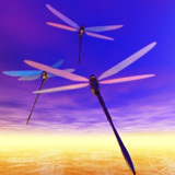 youngsuk333's profile picture. 서예,역사.등산,마케팅,육아,인테리어