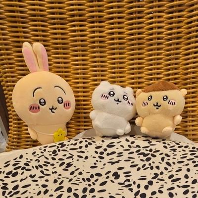 兎依さんのプロフィール画像