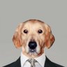 Luthien_tw's profile picture. I'm a e-racer and Mod developer who identifies himself as a dog. rFactor2 is my main game.