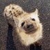 Based Zoology Takes (@basedzoology) Twitter profile photo Based Zoology Takes (@basedzoology) Twitter profile photo
