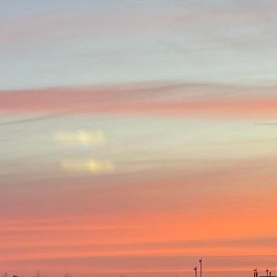 fav0ritemeow's profile picture. 