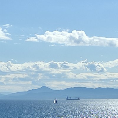 fairandjus29991's profile picture. Μητρός τε και πατρός και των άλλων προγόνων απάντων τιμιοτερον και αγιοτερον εστι η πατρίς και εν μείζονι μοίρα παρα θεοις και παρ ανθρώποις τοις νουν εχουσιν