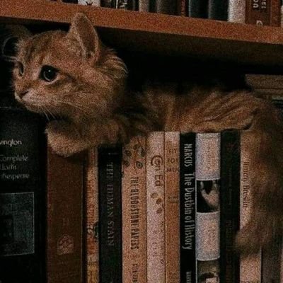 MT_KHLED's profile picture. 