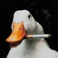 TJ (@elitefourdan) Twitter profile photo
