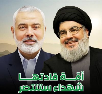 استشارات وتجارة عامة، خبير استيراد وتصدير -الصين