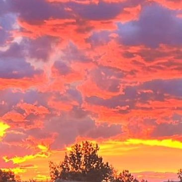 Buba1122341's profile picture. we need help 🙏😭😭