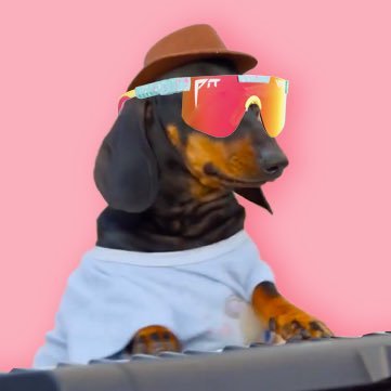 Ticklin' the ivories | $KEYDOG | Pump up the volume 🎶 | Join the tg https://t.co/dOYSQWlkjv