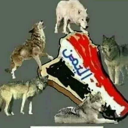 انا لست اصلاحي اومؤتمري او حوثي انا احب وطني