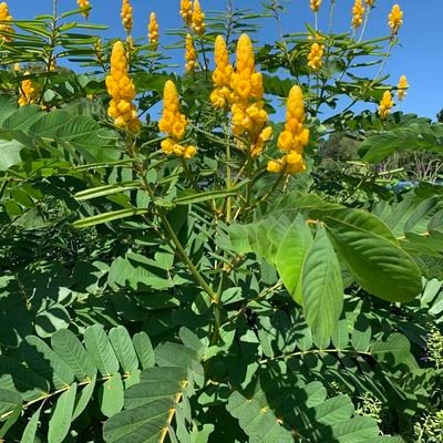 Mkweli3's profile picture. Content creator X
drawing pencil Artist