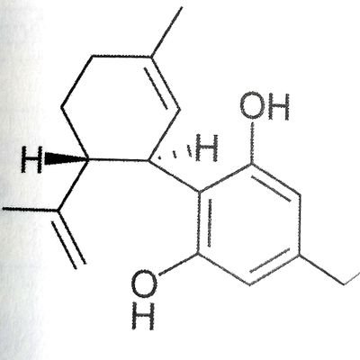 🇪🇺+420国在住。ヘンプエキスパート。日本と欧州ヘンプ系数社の影武者。コンサル、通訳、撮影、取材、ネットワーク。欧州のリアル麻ツイートted_hemp_photo(instagram photos)
Japanese Hemp expert.