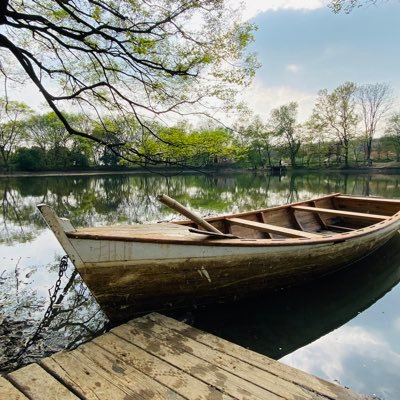 Gu2991662335397's profile picture. 