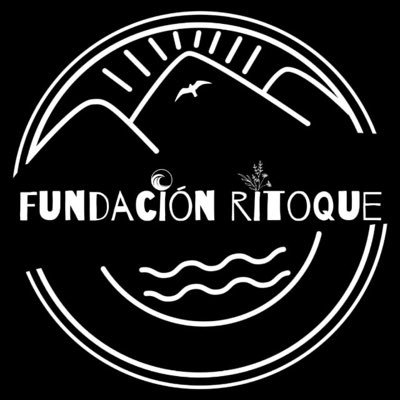 🌅 ¡Protejamos Ritoque! 🏞️ Firma para que este enorme ecosistema de Dunas, Humedales y Playa se declare Zona Protegida y Santuario Natural en el link 📣