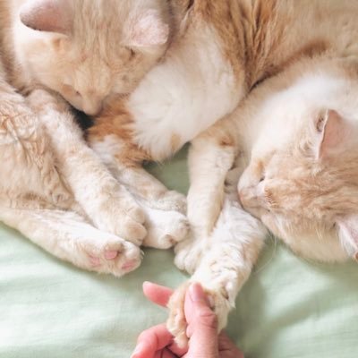 まいさんのプロフィール画像
