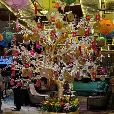 BWealth23's profile picture. Follow me on my dividend journey. Current PADI: $3968.35. Also a #Bitcoin $btc HODLer and a huge @celtics fan. Nothing I say is financial advice!