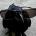 Crow (@birdbrains_0) Twitter profile photo Crow (@birdbrains_0) Twitter profile photo
