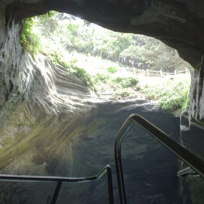 crlmnr07241219's profile picture. 