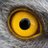 KatoHawk17's profile image