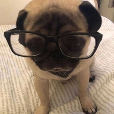 FlakaBlob's profile picture. 