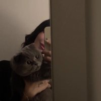 ROLA ྀི (@v6n4_) 's Twitter Profile