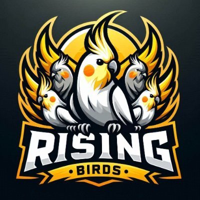 @RisingBirdsESP