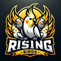 Rising Birds 🐥 (@risingbirdsesp) 's Twitter Profile Photo Rising Birds 🐥 (@risingbirdsesp) 's Twitter Profile Photo