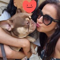 S (@smfak8) 's Twitter Profile
