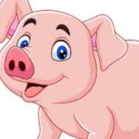Mr Cashy (@piggysssnder) 's Twitter Profile Photo Mr Cashy (@piggysssnder) 's Twitter Profile Photo
