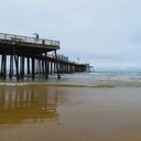 Paulette Anthony - @PauletteAnthony - Twitter