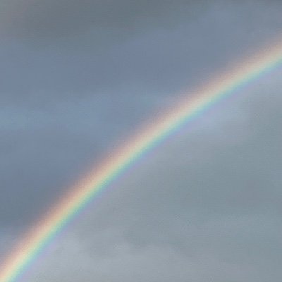 MrNovember87's profile picture. 