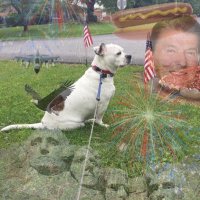 Ooooh Billy Billy Billy Billy (@old_billy_baroo) 's Twitter Profile Photo Ooooh Billy Billy Billy Billy (@old_billy_baroo) 's Twitter Profile Photo