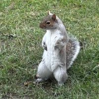 SteveA (@steabb73) 's Twitter Profile