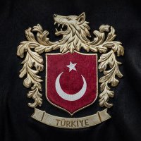 YESİLİM Sİ (@gsbayrambck) 's Twitter Profile