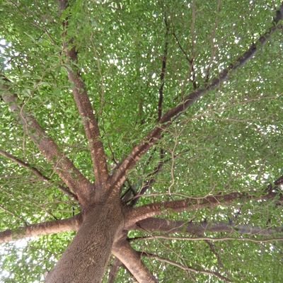 Patrick15362757's profile picture. 