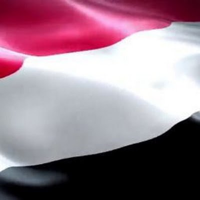 MohmmedFD368505's profile picture. 