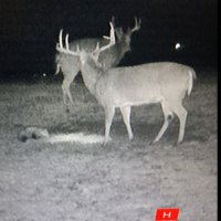 Jason (@jason75460199) 's Twitter Profile