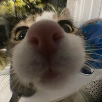 Stagzy (@stagzyl) 's Twitter Profile Photo Stagzy (@stagzyl) 's Twitter Profile Photo