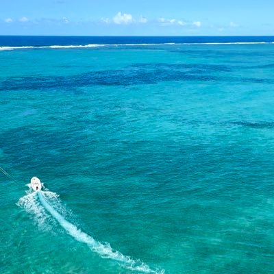 mahaalsabeeh's profile picture. 