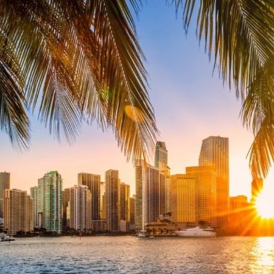 mia33131's profile picture. 