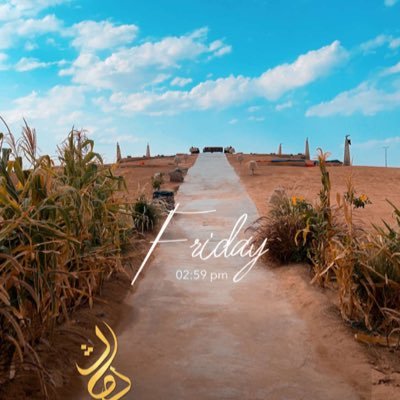 P0hOv's profile picture. 