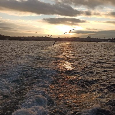 Hasm05838567's profile picture. .