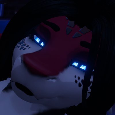 Squeeさんのプロフィール画像