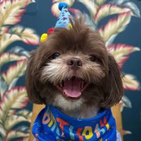 Yaoi_Mazter *MODU is here 😘* (@yaoi_mazter) 's Twitter Profile Photo Yaoi_Mazter *MODU is here 😘* (@yaoi_mazter) 's Twitter Profile Photo