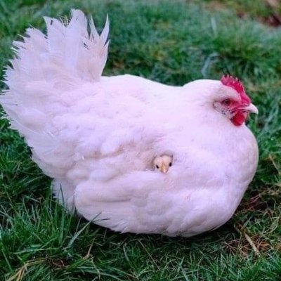 Debbieさんのプロフィール画像