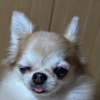 いい気分ジョンくん今素敵✨ (@loveejyon) 's Twitter Profile