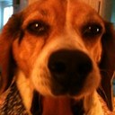 Daniel Blaylock - @danielblaylock - Twitter