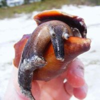 hakkı (@warms5) Twitter profile photo